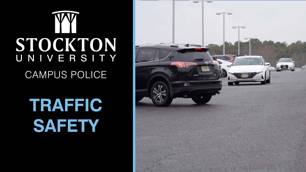 Traffic Safety